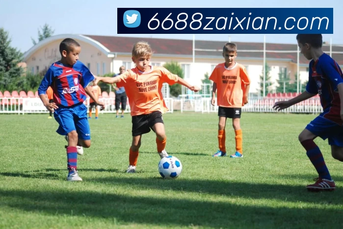 多媒体互动体验